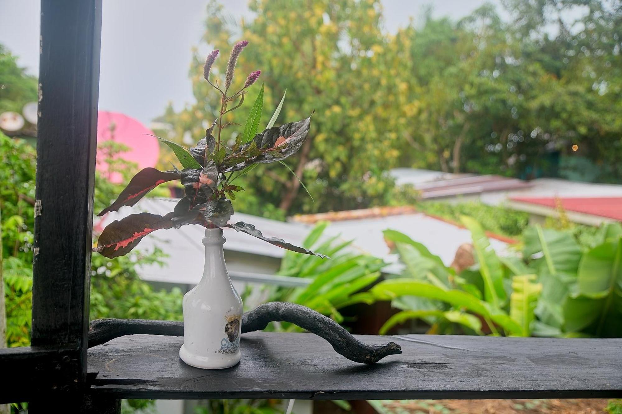 Mar Caribe Pv Hotel Puerto Viejo de Talamanca Kültér fotó